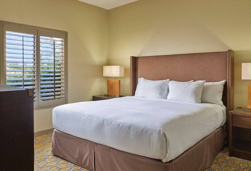 Люкс, El Conquistador Tucson, A Hilton Resort