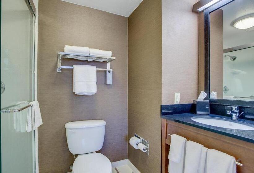 اتاق استاندارد با تخت دو نفره بزرگ برای معلولان, Fairfield Inn Portsmouth Seacoast