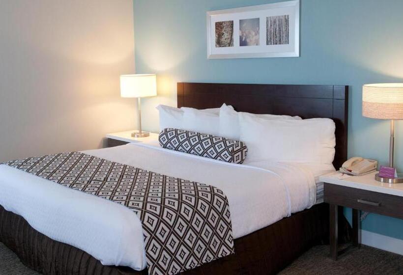 스위트 킹사이즈 침대, Crowne Plaza Hotel And Suites Pittsburgh South, An Ihg