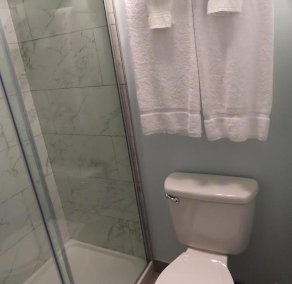 Четырехместный Номер Стандарт, St Charles Hotel Downtown Hudson