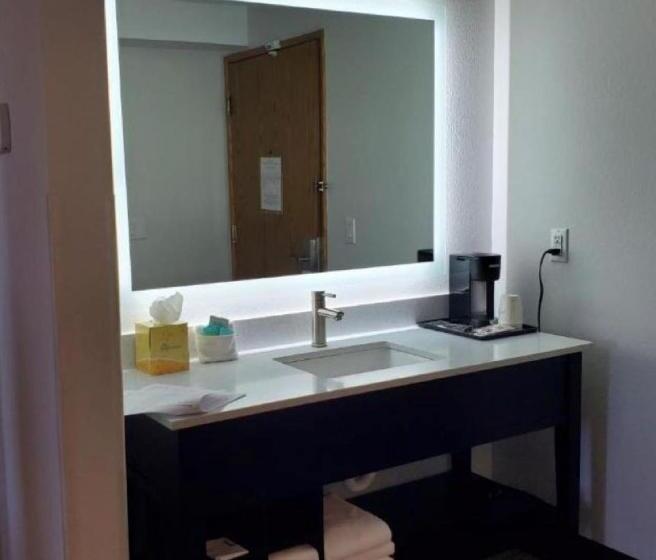 Engelliler için Büyük Çift Kişilik Yataklı Standart Oda, Thea Tacoma, Ascend Hotel Collection