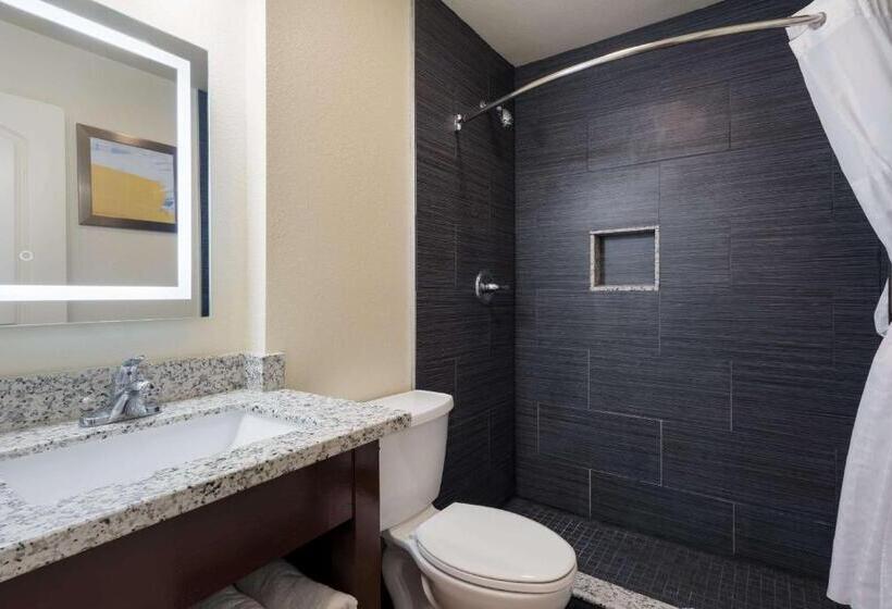 Номер Стандарт, Comfort Inn Gilroy
