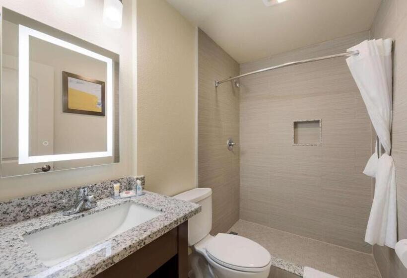 Номер Стандарт, Comfort Inn Gilroy