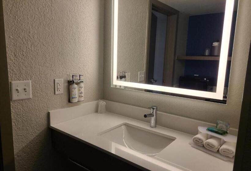 Номер Deluxe Кровать Кинг, Holiday Inn Express Fort Lauderdale North   Executive Airport, An Ihg