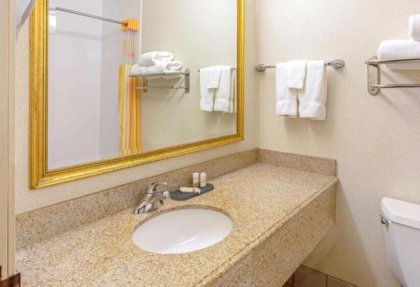 Люкс, La Quinta By Wyndham Appleton College Avenue