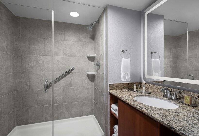 Полулюкс, The Alloy King Of Prussia   A Doubletree By Hilton