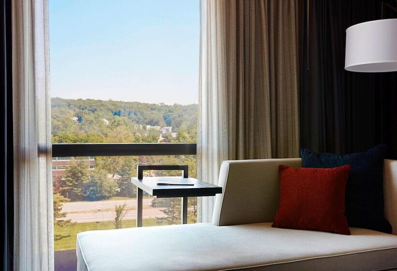Номер Стандарт Двуспальная Кровать, Westchester Marriott