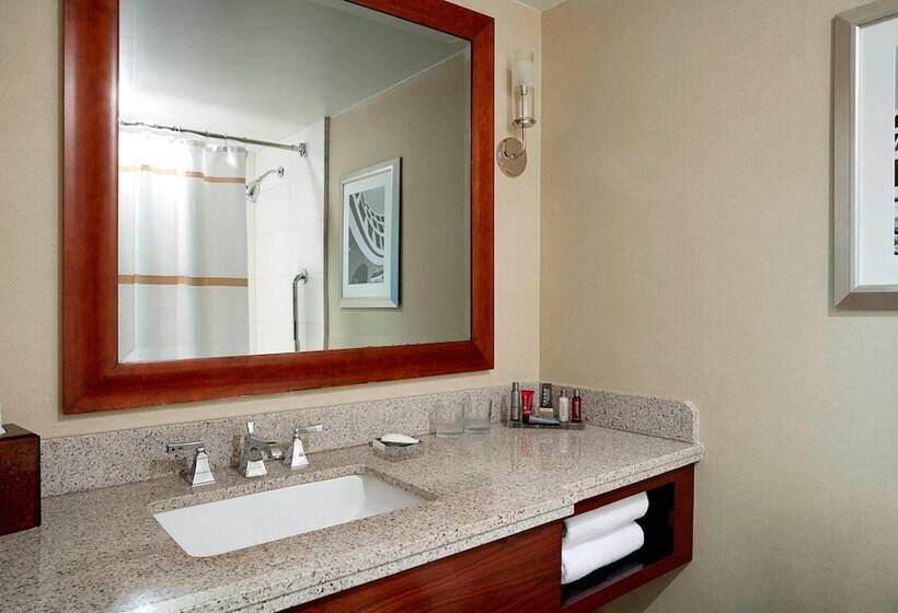 Номер Стандарт Двуспальная Кровать с Видом, Westchester Marriott