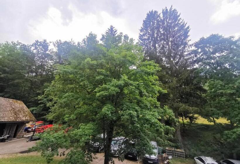 اتاق استاندارد سه تخته با سرویس بهداشتی مشترک, Hostel Pod Voglom