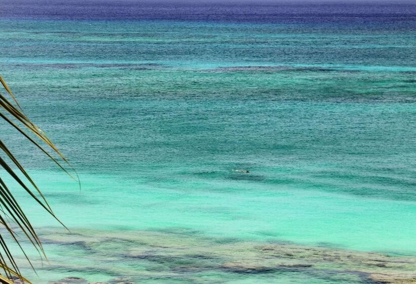 سوییت جونیور با چشم‌انداز دریا, Grand Cayman Marriott Resort