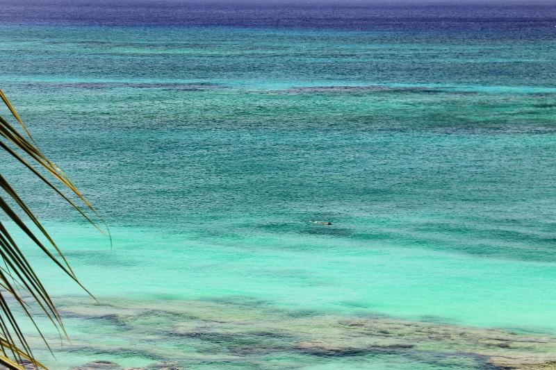 اتاق استاندارد با تخت بزرگ, Grand Cayman Marriott Resort