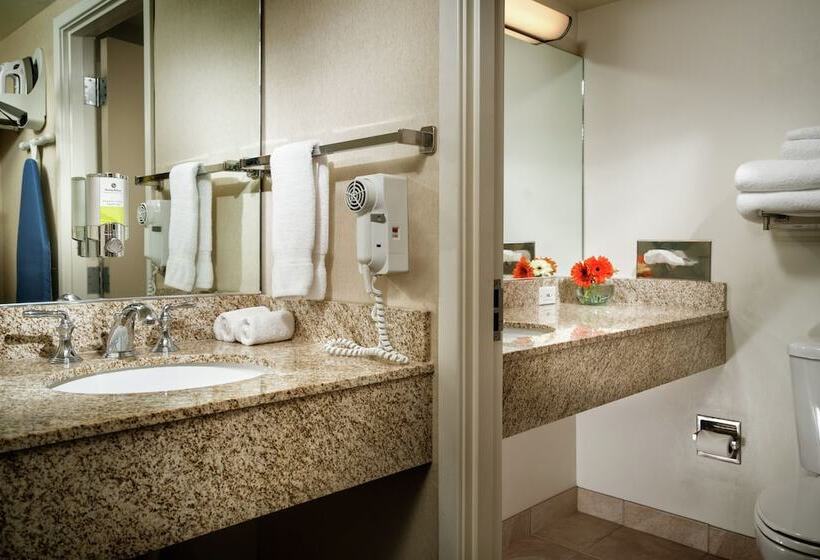 Premium Oda, Staypineapple, University Inn, University District Seattle