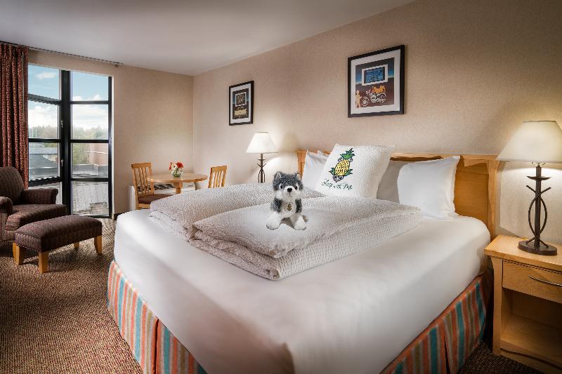 Büyük Çift Kişilik Yataklı Delüks Oda, Staypineapple, University Inn, University District Seattle