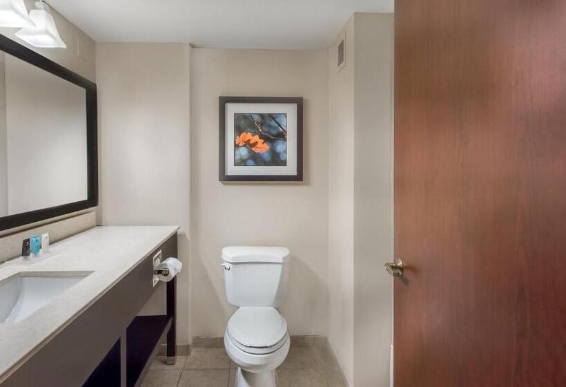 Номер Стандарт 2 Двуспальные Кровати, Crowne Plaza Cleveland At Playhouse Square, An Ihg