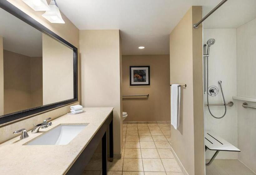 Номер Стандарт Кровать Кинг Адаптированный для Инвалидов, Crowne Plaza Cleveland At Playhouse Square, An Ihg