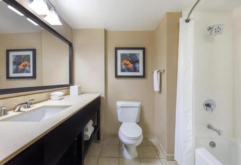 Стандартный Номер Кровать Кинг, Crowne Plaza Cleveland At Playhouse Square, An Ihg