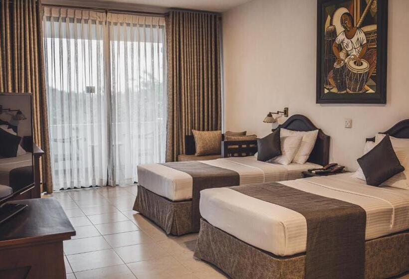 غرفة ديلوكس, Tree Of Life Nature Resort