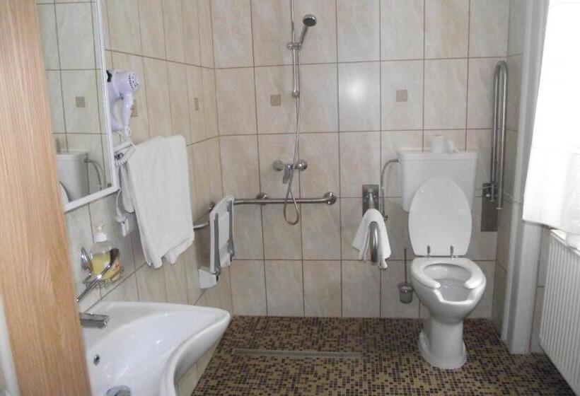 اتاق استاندارد برای معلولان, Blaha Lujza