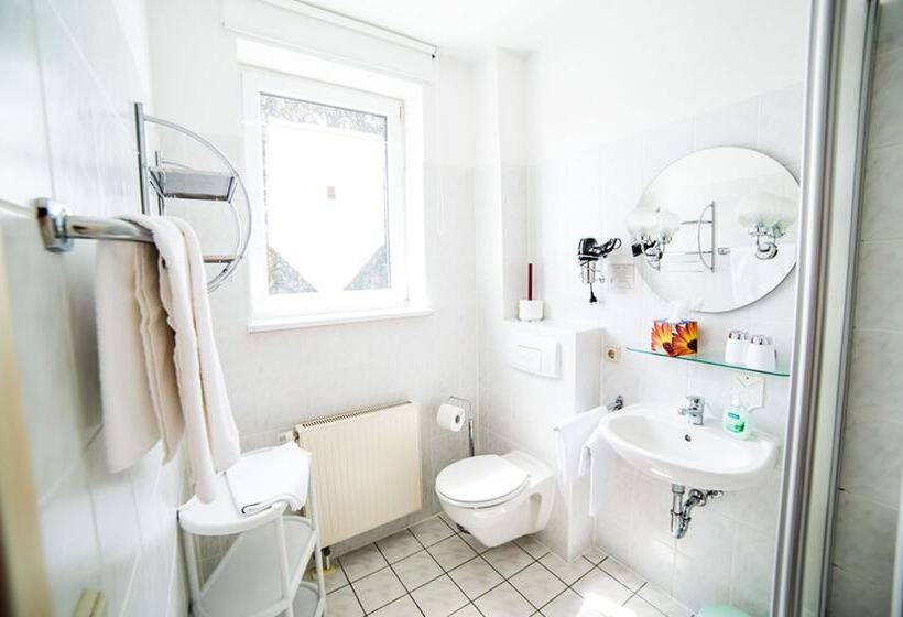 اتاق استاندارد, Parkhotel Senftenberg