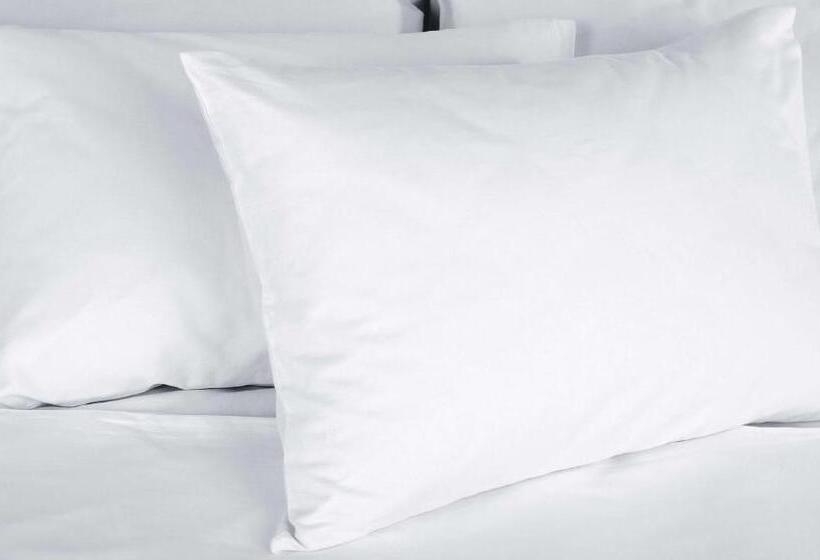 스탠다드 룸, Sunrise Inn Williamstown
