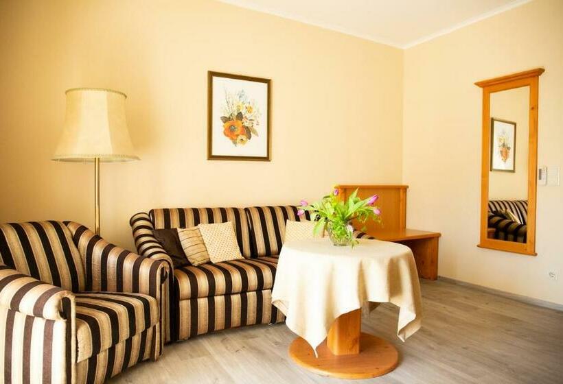 Люкс, Birkenhof Gols   B & B   Wohlfühl Hotel Mit Wochenend Restaurant