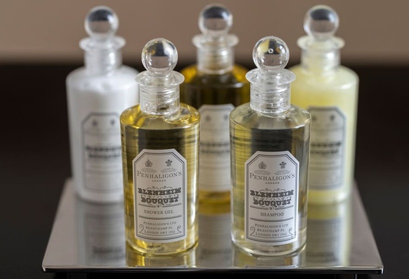 Люкс, The Pelham London   Starhotels Collezione