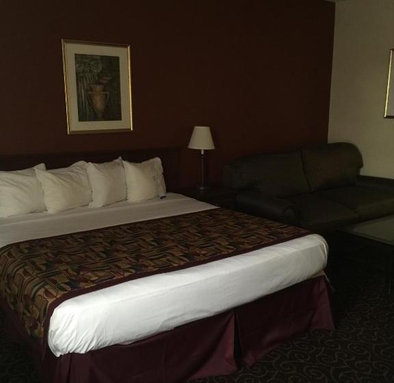 Deluxe Suite met Kingsize Bed, Baymont By Wyndham Chicago/calumet City
