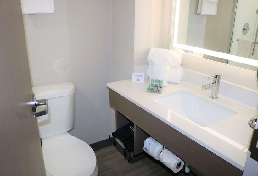 اتاق استاندارد با 2 تخت دوبل, Best Western Aku Tiki Inn