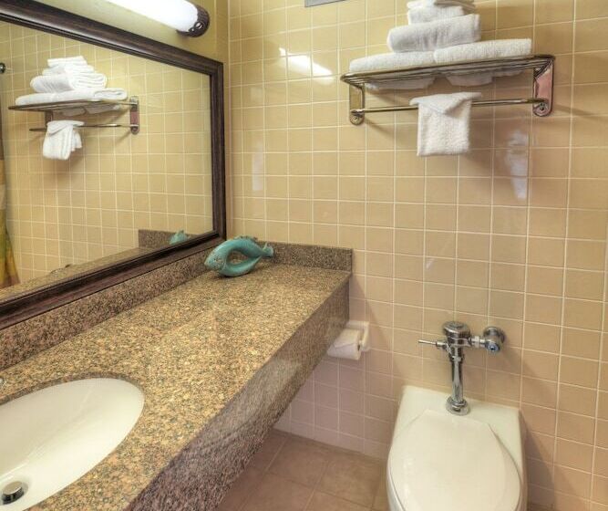 اتاق استاندارد با 2 تخت دوبل, Best Western Aku Tiki Inn
