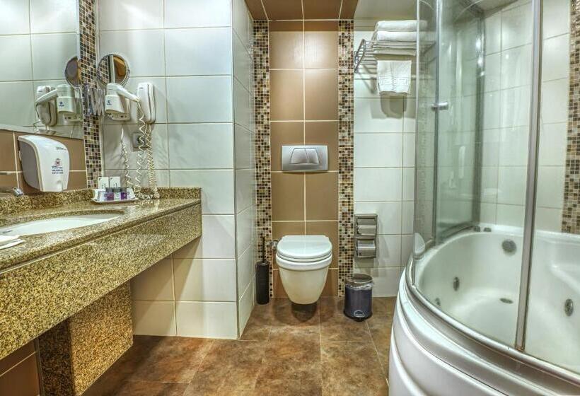 带大床的标准间, Best Western Plus Hotel Konak