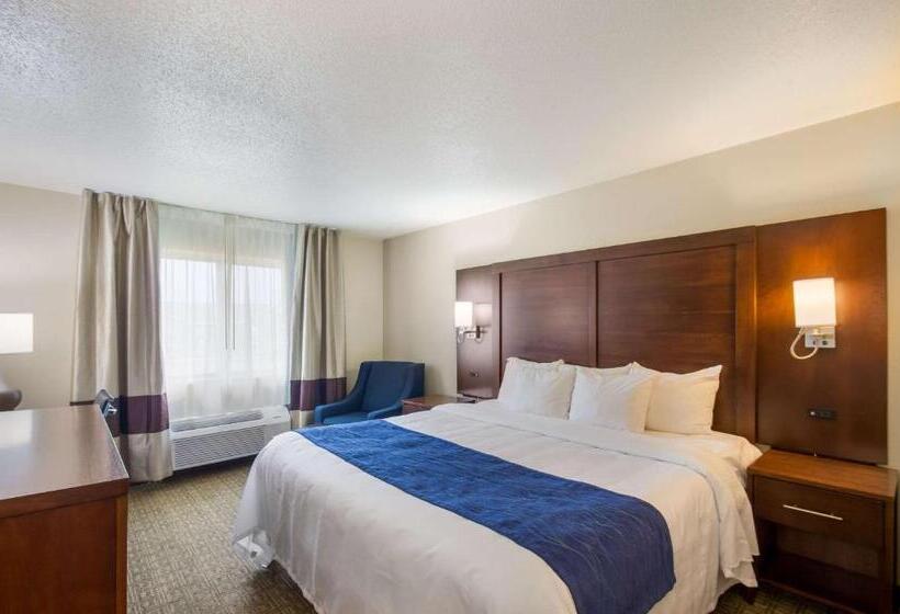 Стандартный Номер Кровать Кинг, Quality Inn & Suites