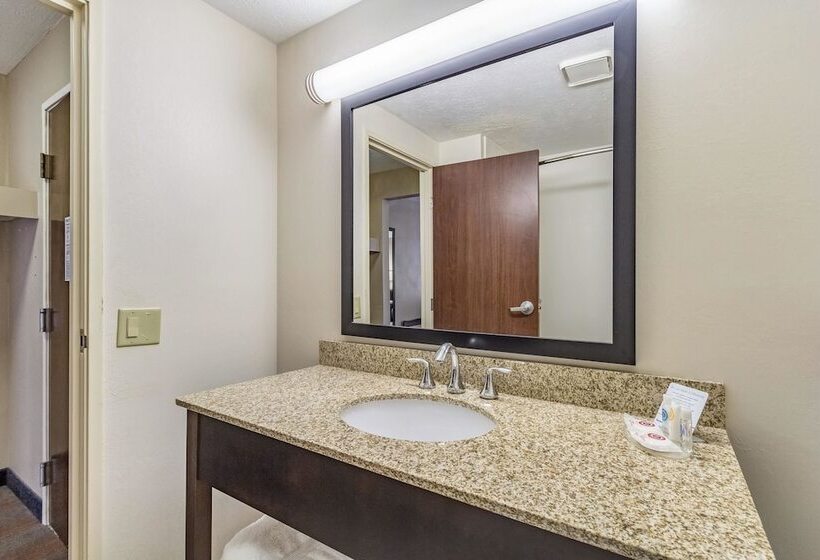 Номер Стандарт 2 Двуспальные Кровати, Comfort Inn
