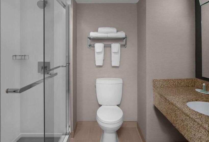 Люкс Executive Кровать Кинг, Courtyard By Marriott Cypress Anaheim / Orange County