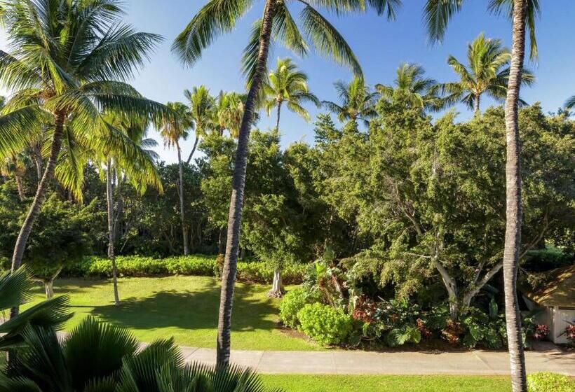 Стандартный Номер Кровать Кинг, Fairmont Orchid