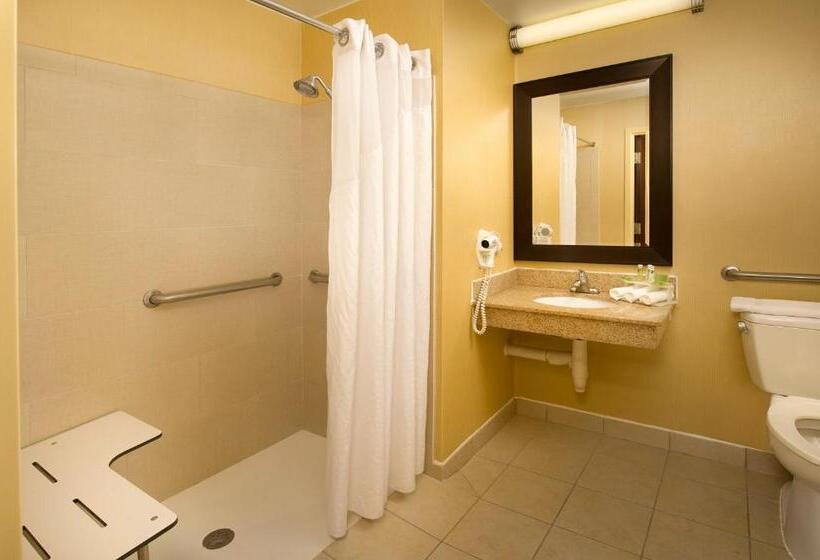 Номер Стандарт Кровать Кинг Адаптированный для Инвалидов, Holiday Inn Express Washington Dc Bw Parkway, An Ihg