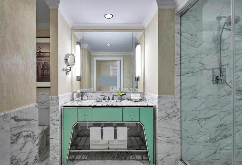 اتاق لوکس با تخت بزرگ, Loews Regency  New York