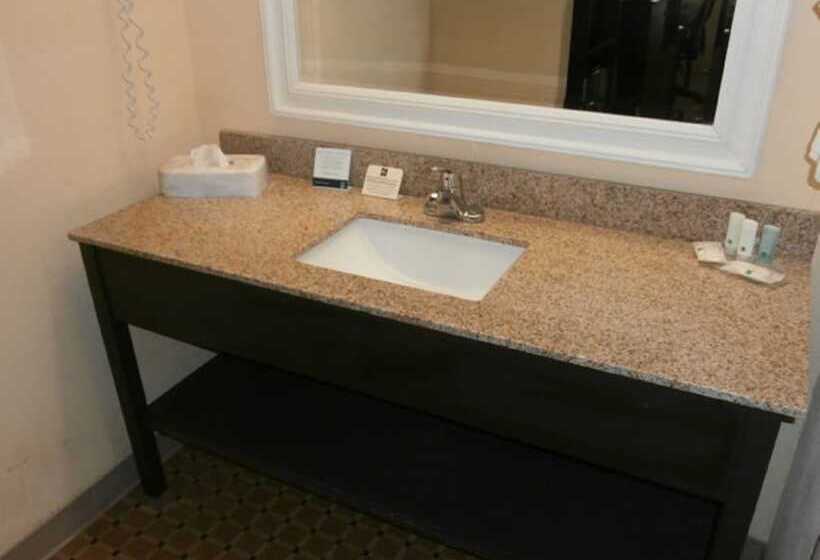 带2个双人床的标准工作室, Quality Inn & Suites Aiken