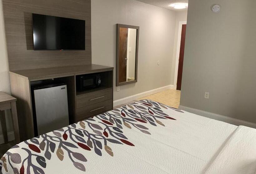 디럭스 룸 킹사이즈 침대, Red Roof Inn & Suites Vineland Buena
