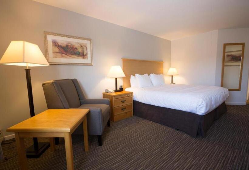 اتاق استاندارد با تخت بزرگ, Tower Inn & Suites