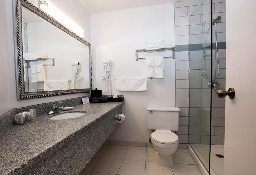 اتاق اجرایی با تخت بزرگ, Tower Inn & Suites