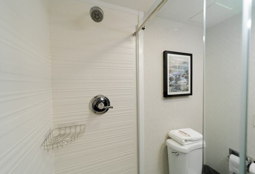 Люкс, Comfort Inn & Suites Wyomissing Reading