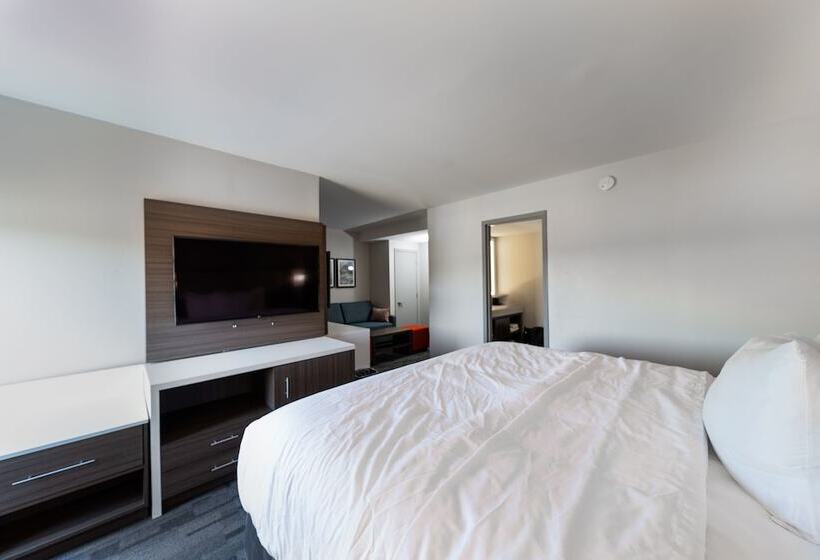 Люкс, Comfort Inn & Suites Wyomissing Reading