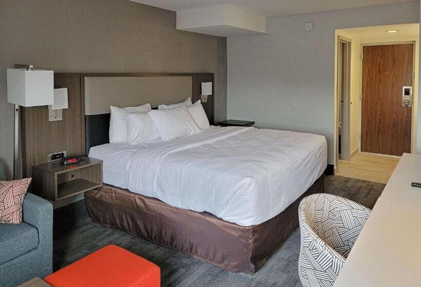 带大床的标准间, Comfort Inn & Suites Wyomissing Reading