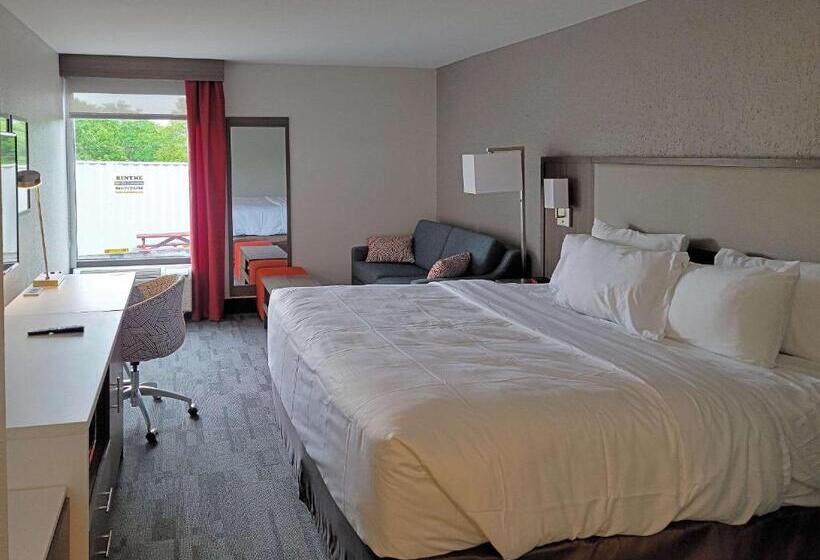Стандартный Номер Кровать Кинг, Comfort Inn & Suites Wyomissing Reading