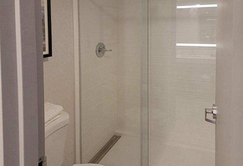 Стандартный Номер Кровать Кинг, Comfort Inn & Suites Wyomissing Reading