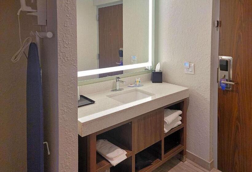 带大床的标准间, Comfort Inn & Suites Wyomissing Reading