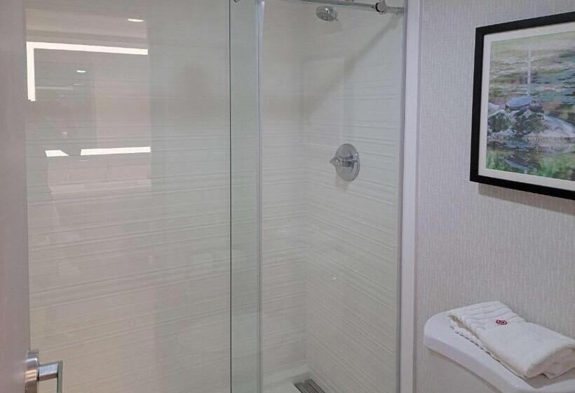 Номер Стандарт 2 Двуспальные Кровати, Comfort Inn & Suites Wyomissing Reading