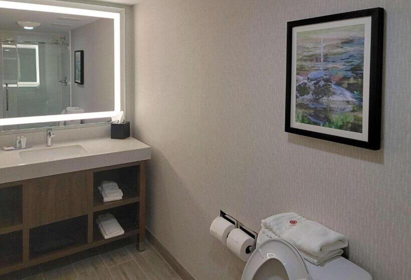 Люкс Кровать Кинг, Comfort Inn & Suites Wyomissing Reading