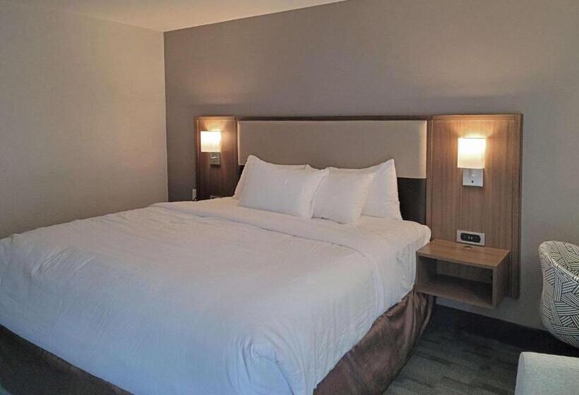 Люкс Кровать Кинг, Comfort Inn & Suites Wyomissing Reading