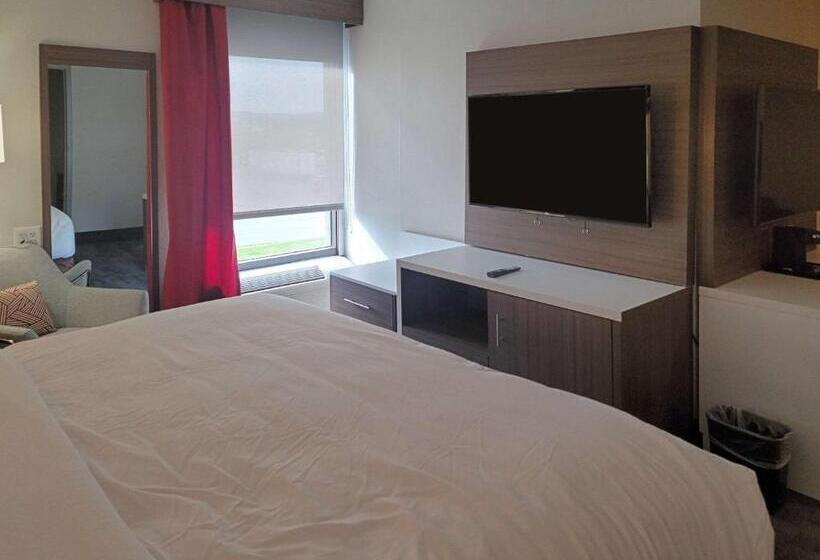 带大床的套房, Comfort Inn & Suites Wyomissing Reading